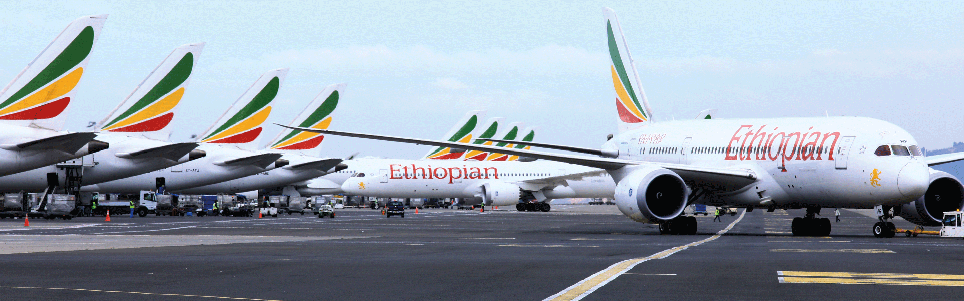 Etiyopya uçağı telsizlere yanıt vermedi. Savaş uçaklarını peşine taktı