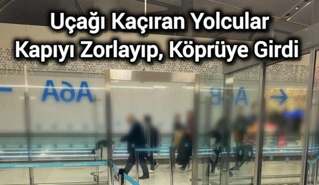 Anlamakta Zorlanıyoruz – HSMözel