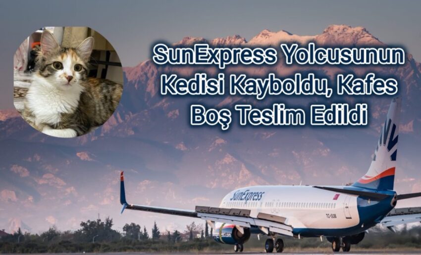 SunExpress Yolcusunun Kedisi Kayboldu, Kafesi Boş Teslim Edildi