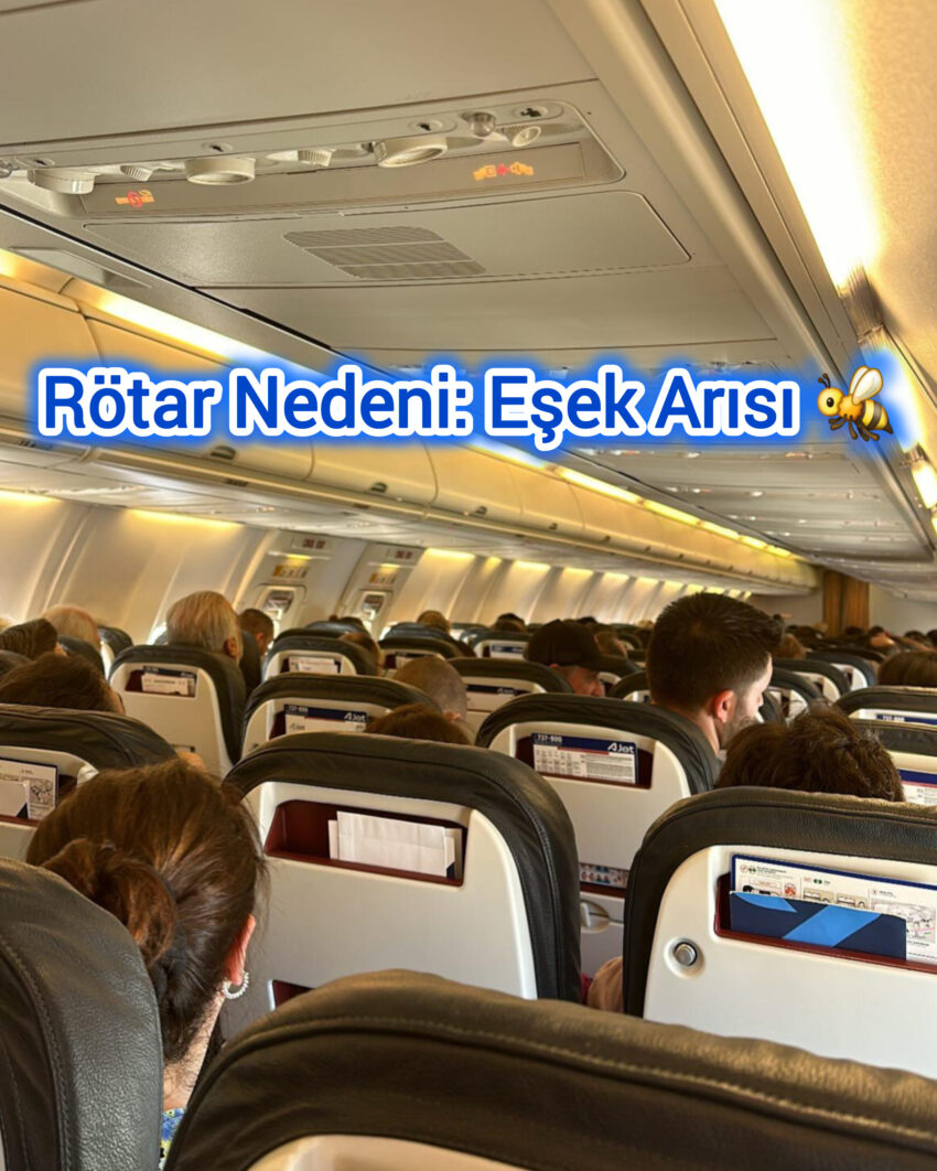 Rötar Nedeni: Eşek Arısı