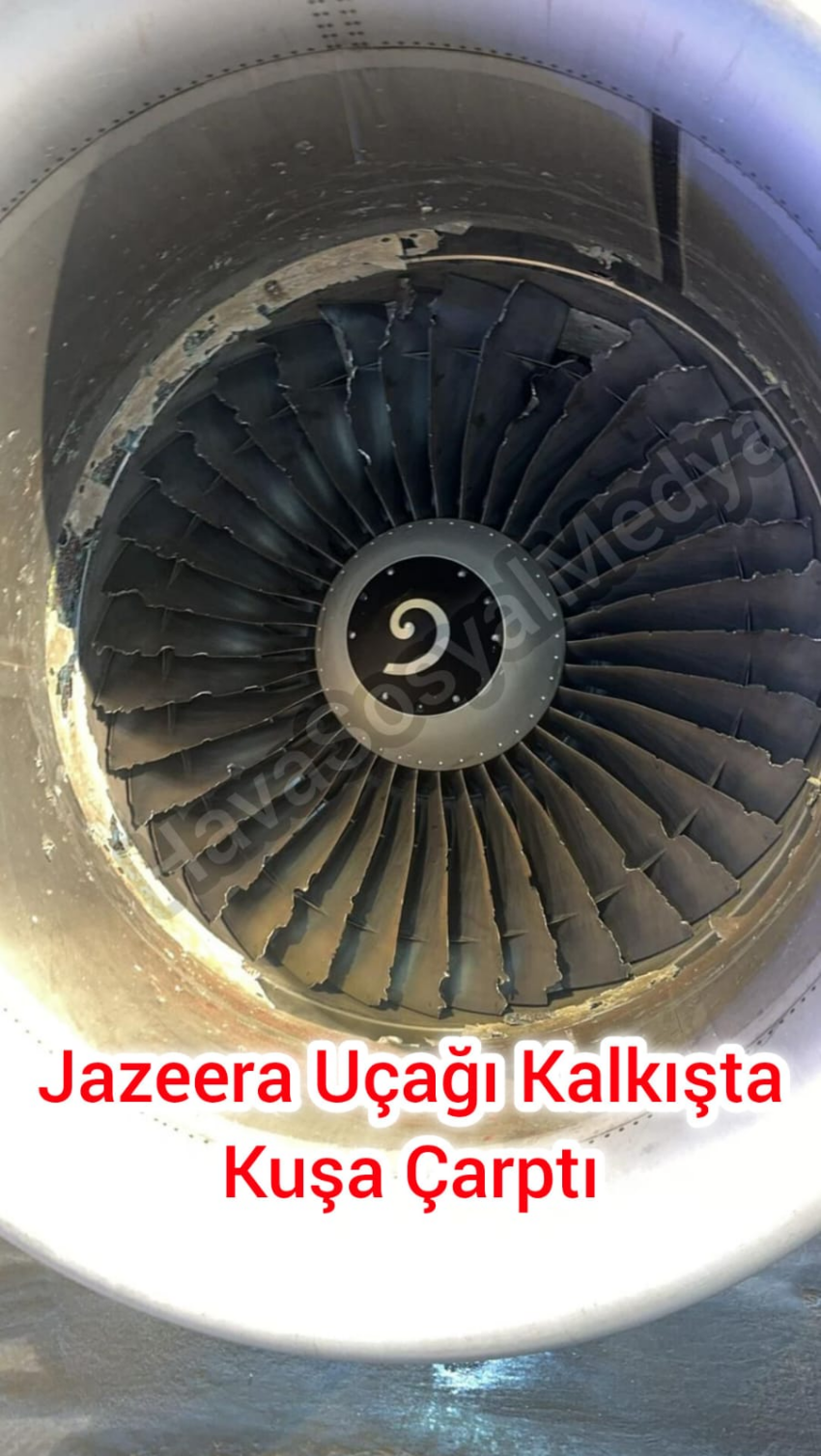 Jazeera’nin Kuveyt – Kahire Seferini Yapan Airbus A320, Kalkışta Kuşa Çarptı