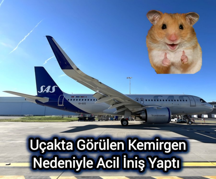 SAS’ın Oslo – Malaga Uçağında Yemek Tepsisinden Fare Fırladı